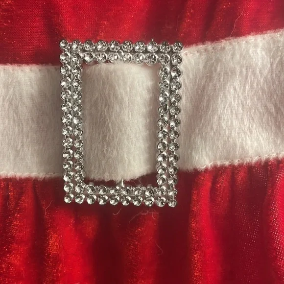 Pet Holiday 2008 Mrs. Clause Dress Like New - Size Large for Small/Medium Breeds - Picture 2 of 3